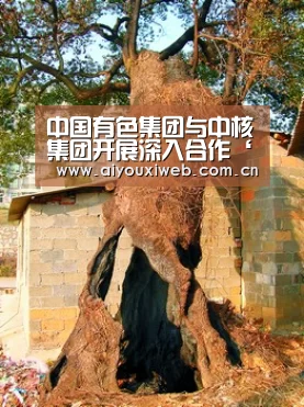 中国有色集团与中核集团开展深入合作‘体育手机端APP’(图1) 体育手机端APP
