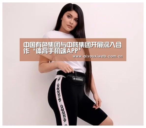 中国有色集团与中核集团开展深入合作‘体育手机端APP’(图2) 爱游戏直播