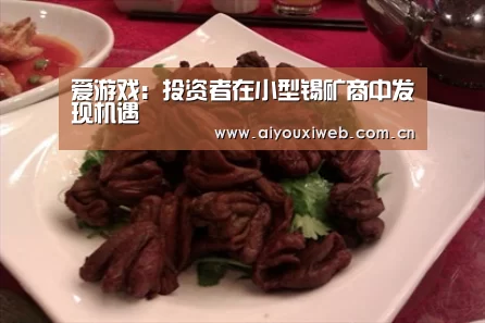 爱游戏:投资者在小型锡矿商中发现机遇(图1) 爱游戏直播