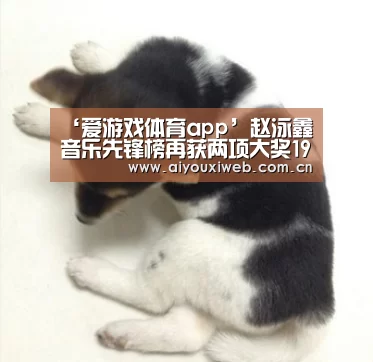 爱游戏