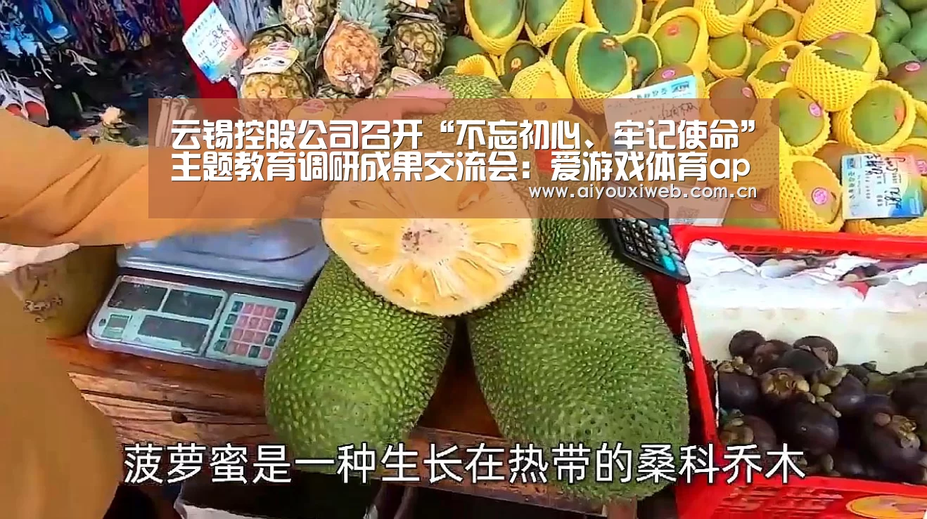 云锡控股公司召开“不忘初心、牢记使命”主题教育调研成果交流会:爱游戏体育app(图2) 爱游戏