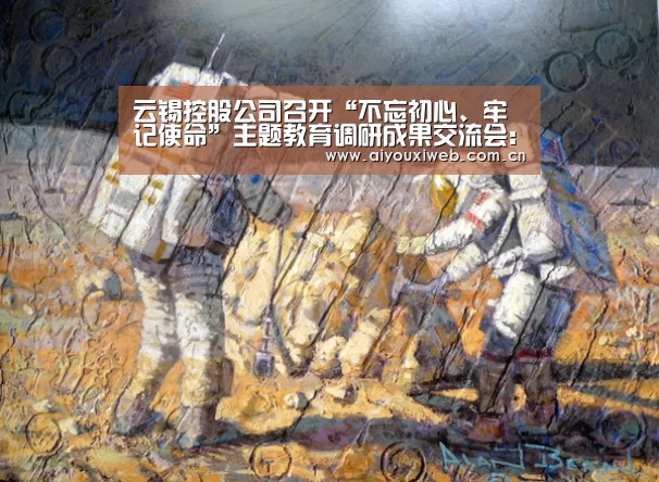 云锡控股公司召开“不忘初心、牢记使命”主题教育调研成果交流会:爱游戏体育app(图3) 体育手机端APP
