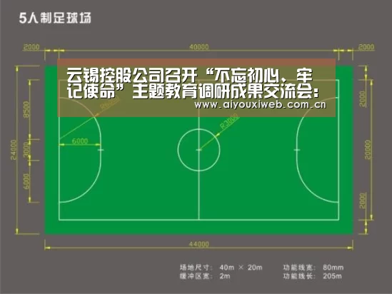 云锡控股公司召开“不忘初心、牢记使命”主题教育调研成果交流会:爱游戏体育app(图4) 体育手机端APP