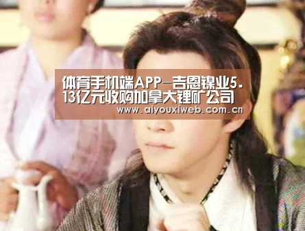 体育手机端APP-吉恩镍业5.13亿元收购加拿大锂矿公司(图3) 爱游戏