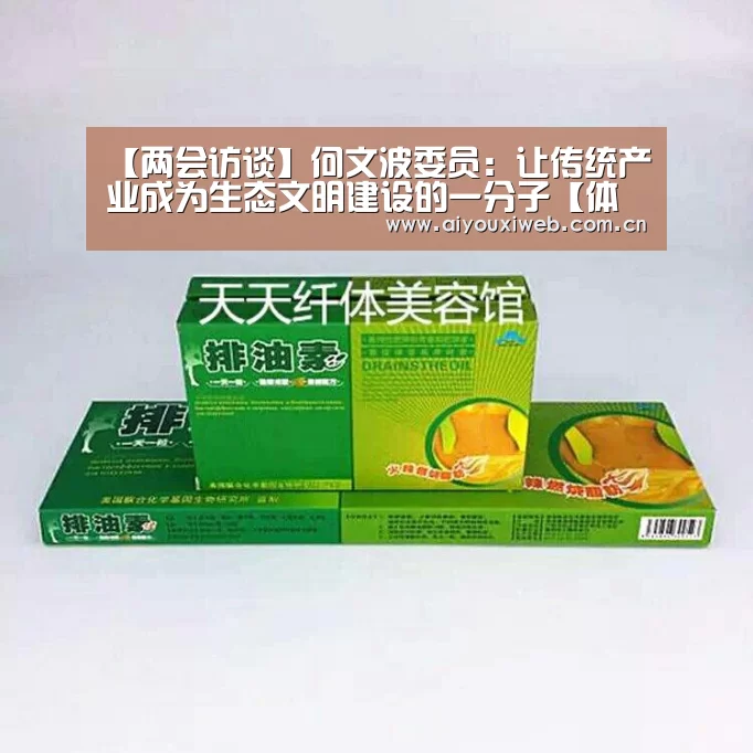 【两会访谈】何文波委员:让传统产业成为生态文明建设的一分子【体育手机端APP】(图4) 爱游戏