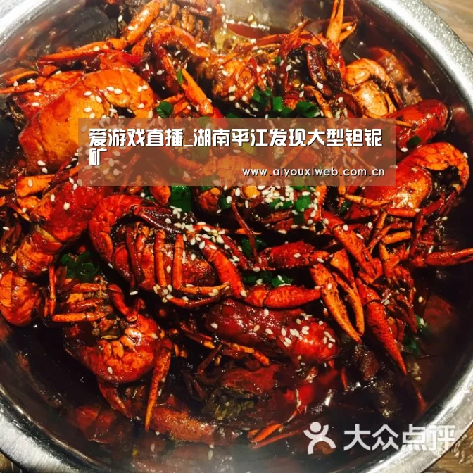 爱游戏直播_湖南平江发现大型钽铌矿(图3) 爱游戏体育app