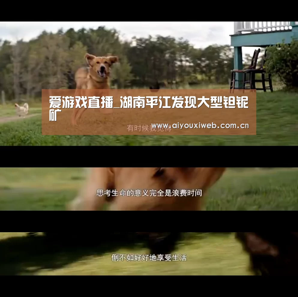 爱游戏直播_湖南平江发现大型钽铌矿(图1) 体育手机端APP