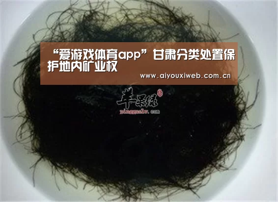 “爱游戏体育app”甘肃分类处置保护地内矿业权(图4) 爱游戏直播